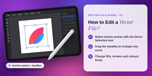 How To Use A Vector File Professionally? 5 how-to-edit-a-vector-file
